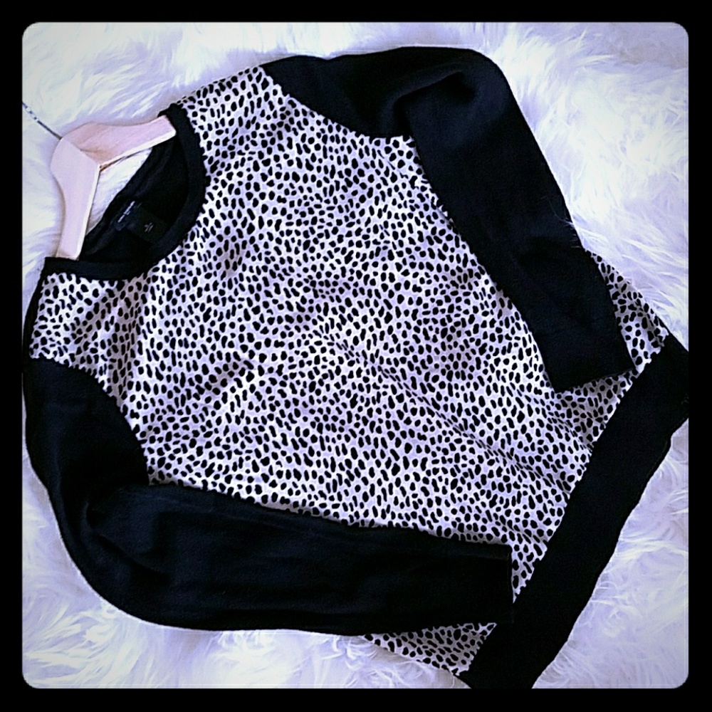 Ann Taylor Leopard Sweater